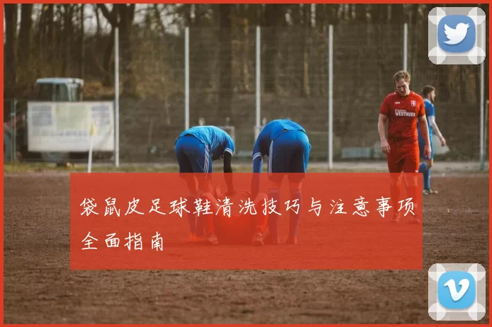 袋鼠皮足球鞋清洗技巧与注意事项全面指南