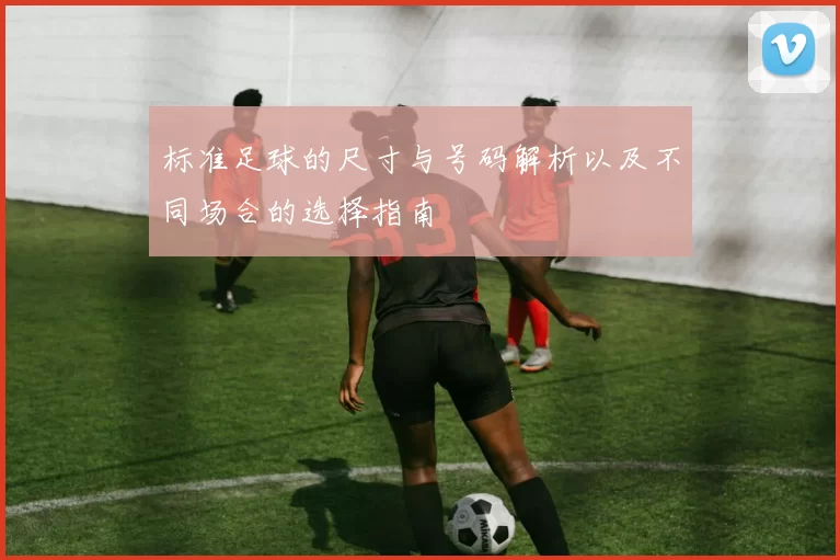 标准足球的尺寸与号码解析以及不同场合的选择指南