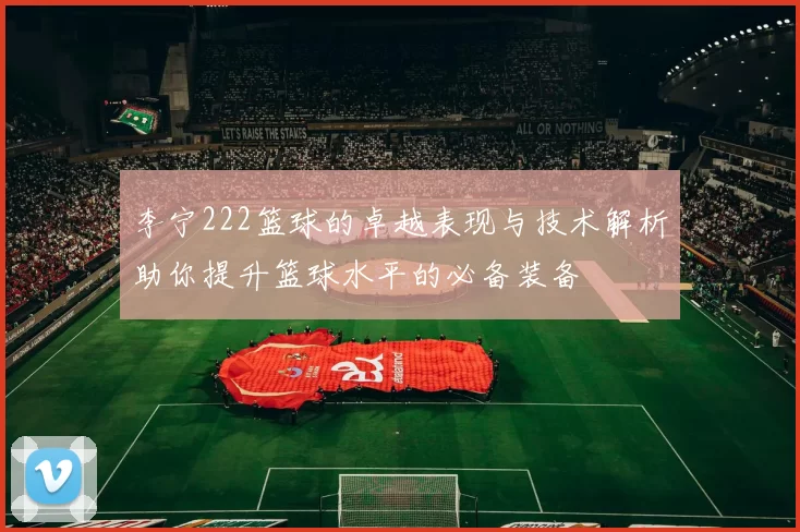 李宁222篮球的卓越表现与技术解析助你提升篮球水平的必备装备