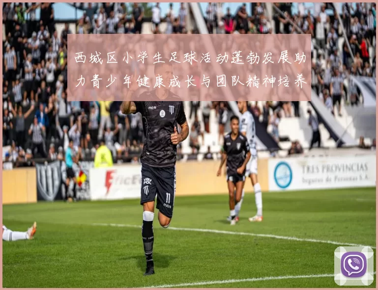 西城区小学生足球活动蓬勃发展助力青少年健康成长与团队精神培养