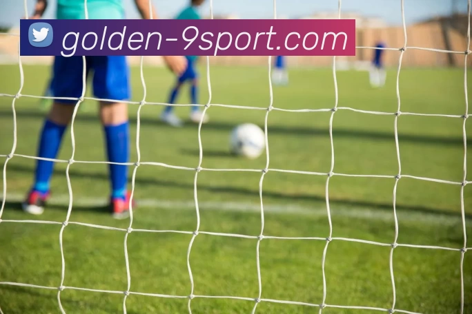 九游体育发展历程