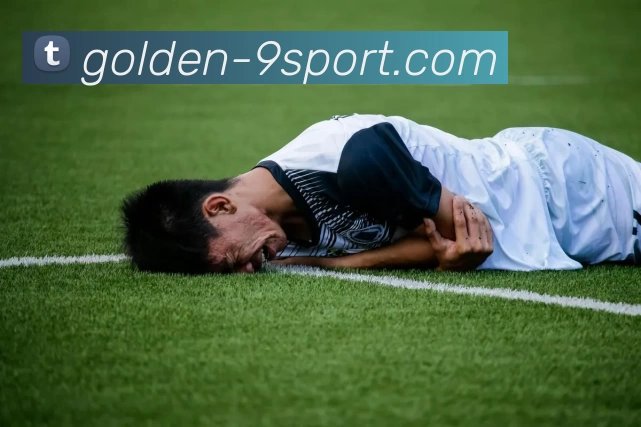 李宁222篮球的卓越表现与技术解析助你提升篮球水平的必备装备